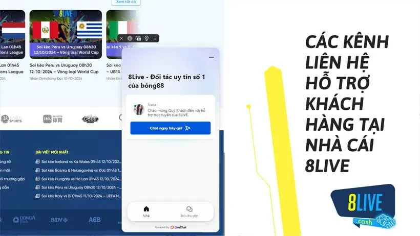 Dịch vụ chăm sóc khách hàng 8live 1 Các kênh liên hệ hỗ trợ khách hàng tại nhà cái 8LIVE