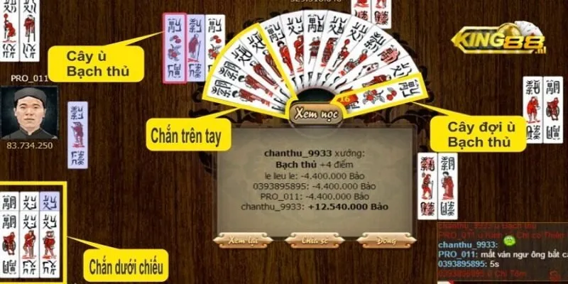 tong-hop-day-du-luat-choi-bai-chan